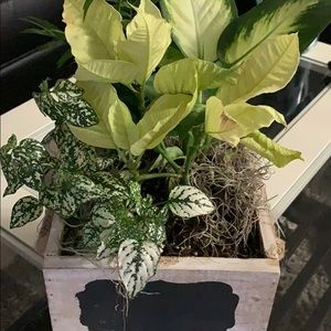 Meet your Posher, Brenda